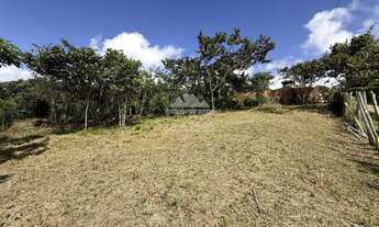 Imagem 4: Terreno com frente de 24,93m, com uma excelente área plana e vista