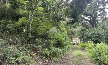 Imagem 3: Gleba em Pacoti com 956,80 m² com matricula