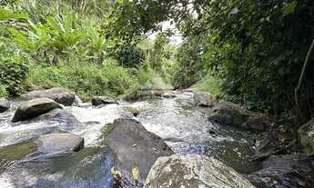 Imagem: Sítio à venda com 20 ha, com abastecimento