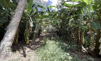 Imagem 3: Sítio de 7 hectares com 3 estábulos e vista em Mulungu