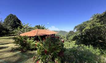 Imagem 6: Sítio com 4.1 ha, com casa sede, casa de caseiro, poço profundo e vista panorâmi