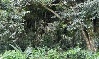 Imagem 6: Terreno de 4 ha, com matrícula, área plana, sinal de telefone, energia e fibra o