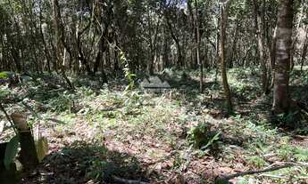 Imagem 4: Terreno com vista panorâmica em Mulungu