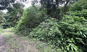 Imagem 4: Gleba em Pacoti com 956,80 m² com matricula