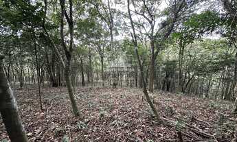 Imagem: Terreno com 1 hectare todo cercado com estacas