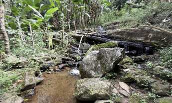 Imagem: Sitio de 3 HA com uma nascente e muitas