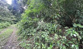 Imagem 7: Gleba em Pacoti com 956,80 m² com matricula