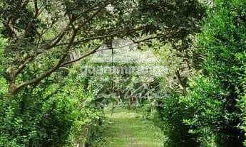 Imagem 5: Sítio com 60 ha, com 06 casas, 08 olhos dgua, 05 barragens e árvores frutíferas