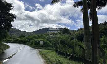 Imagem: Terreno de 4 ha, com matrícula, área plana