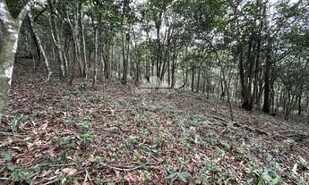 Imagem 6: Terreno com 1 hectare todo cercado com estacas de cimento