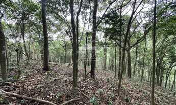 Imagem 2: Terreno com 1 hectare todo cercado com estacas de cimento