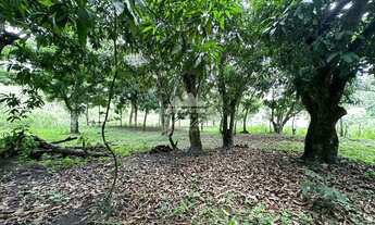 Imagem: Terreno plano com área total de 2.204,65m²