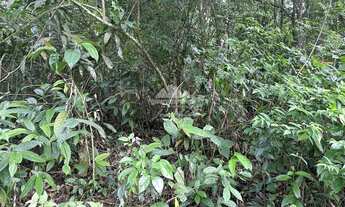 Imagem 5: Gleba em Pacoti com 956,80 m² com matricula