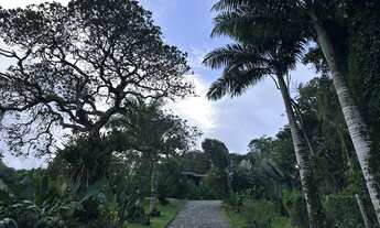 Imagem 3: Sítio com barragens, muita água e natureza, em Guaramiranga/CE