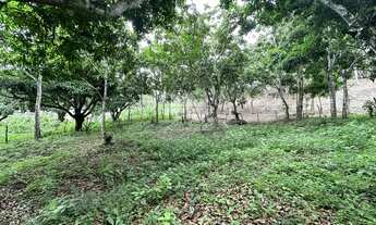 Imagem 2: Terreno plano com área total de 2.204,65m² em Mulungu/CE