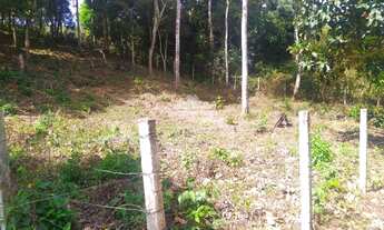 Imagem 3: Gleba com 420,00 m² a 8,5 km do Centro de Guaramiranga/CE