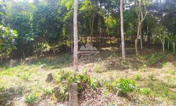 Imagem 2: Gleba com 420,00 m² a 8,5 km do Centro de Guaramiranga/CE