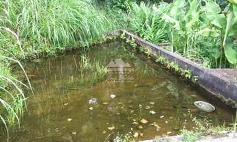 Imagem 6: Sítio com 110,0 ha, com casa para reforma, casa de caseiro, estábulo, 03 poços p