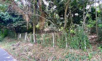 Imagem 4: Sítio com 04 hectares, todo cercado, com energia e casa para reforma