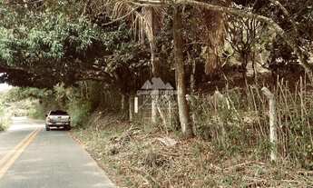 Imagem 5: Sítio com 04 hectares, todo cercado, com energia e casa para reforma