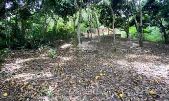 Imagem 3: Sítio com 04 hectares, todo cercado, com energia e casa para reforma