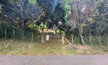 Imagem: Sítio com 04 hectares, todo cercado, com