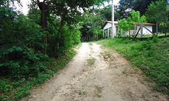 Imagem 2: Sítio à venda com 20 ha, com abastecimento de água por 03 fontes perenes e 02 ca