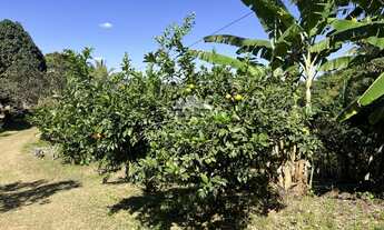 Imagem 5: Sítio com 4.1 ha, com casa sede, casa de caseiro, poço profundo e vista panorâmi