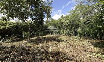 Imagem 5: Terreno com frente de 24,93m, com uma excelente área plana e vista