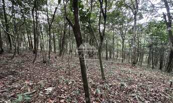 Imagem 3: Terreno com 1 hectare todo cercado com estacas de cimento