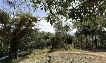 Imagem 4: Sitio com 5,16 ha com duas casas para reforma, área plana e vista panorâmica em