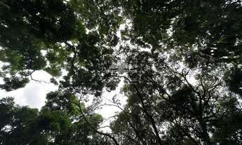 Imagem 6: Terreno plano com área total de 2.204,65m² em Mulungu/CE