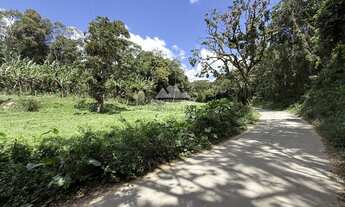 Imagem: Sítio de 7 hectares com 3 estábulos e