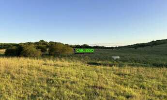 Imagem: Fazenda de 80 ha em Alegrete