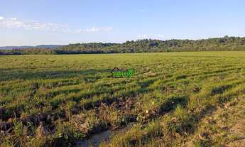 Imagem: Área rural de 55 ha