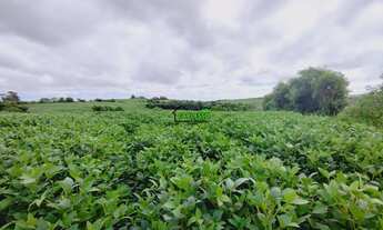 Imagem 6: Área rural 5,8ha em Itaara