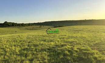 Imagem 5: Fazenda de 80 ha em Alegrete