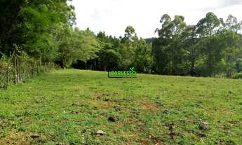 Imagem: Área de 5 ha