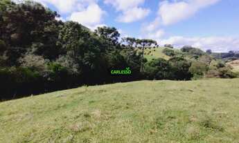 Imagem: Área rural de 6 ha