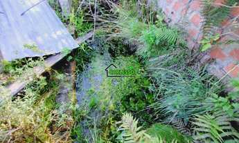 Imagem 3: Chácara de 25 ha