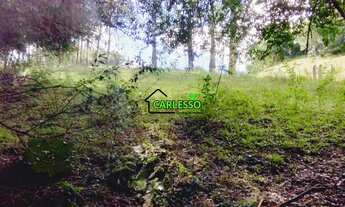 Imagem 6: Área rural de 6 ha