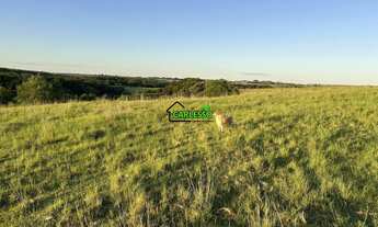 Imagem 6: Fazenda de 80 ha em Alegrete