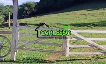 Imagem 5: Chácara em Santiago