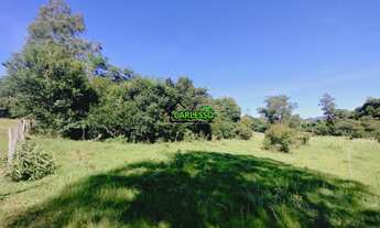 Imagem 6: Área rural de 6,5 ha