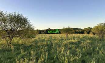 Imagem 7: Fazenda de 80 ha em Alegrete