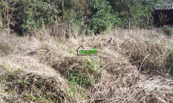 Imagem 6: Amplo terreno no São José