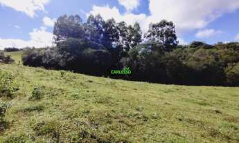 Imagem 3: Área rural de 6 ha