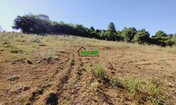 Imagem 6: Chácara de 25 ha