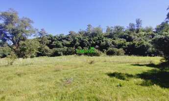 Imagem 4: Área rural de 6,5 ha