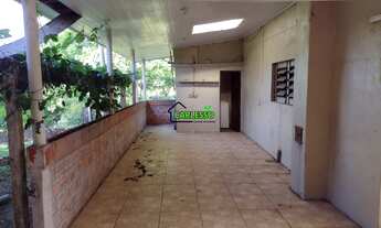 Imagem 2: Chácara de 15 ha